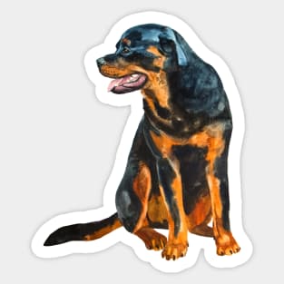 rottweiler portrait Sticker